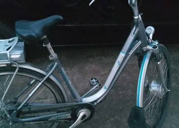 Rower Gazele Holenderski