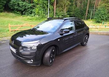 C4 cactus