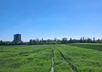 Prywatnie 1ha Opole Grudzice 4km do Centrum