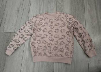 Bluza
