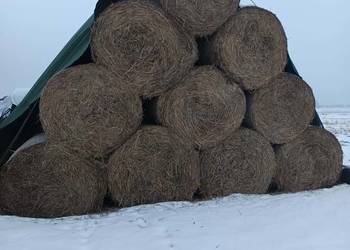 Słoma Sprzedam Słome