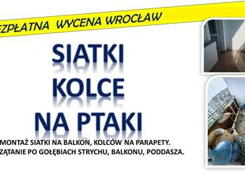Montaż kolców na ptaki, gołębie, usuwanie gniazda, Wrocław, cennik