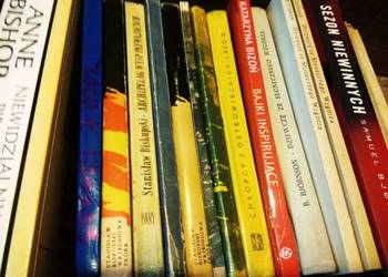 Bjornson Dziewczę zr Słonecznego Wzgórza książki Warszawa