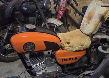 Wsk 175 Dudek