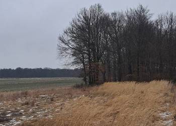 Działka leśna rolna