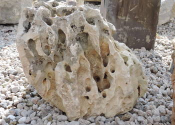 Bryła Głaz Moon Stone do ogrodu akwarium kamień jasny