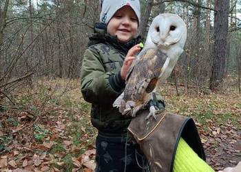 Roztocze -Dziupla Pana Sowy