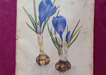 Miesiecznik popularnonaukowy Kosmos. Niemcy, nr 4 - 1954 r.