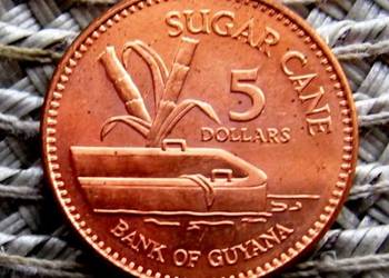 Gujana 1 Dolar 2008r--Ładna