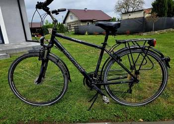 Rower meski Kross Trans Pacyfic