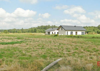 Grunt 10400m2 Zalesiany