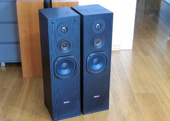 Mocne kolumny Magnat 2 x 220 wat. DOSTAWA