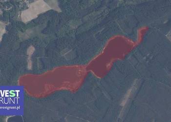 [64,83 ha] jezioro, przetarg na dzierżawę
