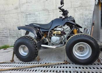 Quad Barossa 250