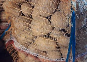 Ziemniak paszowy gruby i drobny