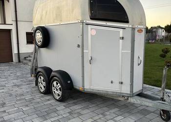Przyczepa do przewozu 1,5 konia kąt B dmc 1290 kg