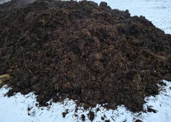 Witam. Sprzedam obornik z Transportem