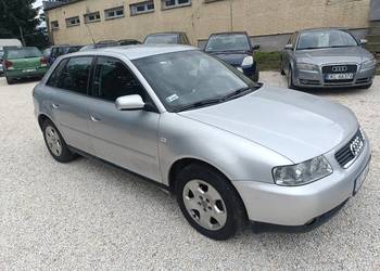 Ładna audi a3 Lift 5 drzwi alkantary Climatronic