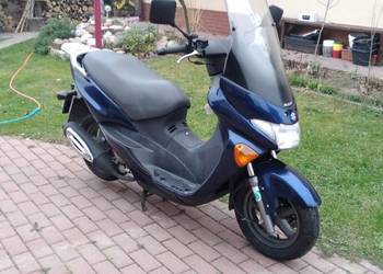 Suzuki Epicuro 125