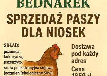 Pasza dla kur niosek