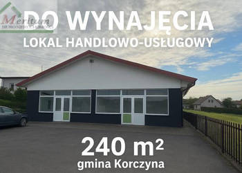Oferta wynajmu lokalu Korczyna 244m2