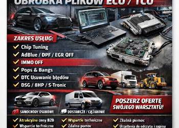 Chiptuning Pliki Współpraca DPF EGR SCR Ciężarowe Pomoc