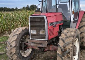 Massey Ferguson 3070 (3060, 3050, 3080)