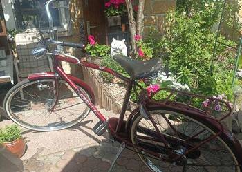 Gazelle rower oldschool retro