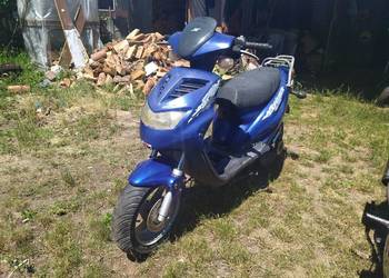 Spin Explorer ge 50