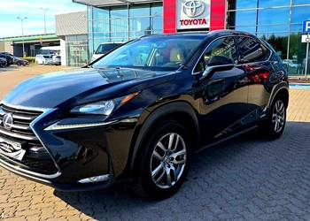 Lexus NX300h /salon PL/zamiana Lexus NX300h /salon PL/zamiana