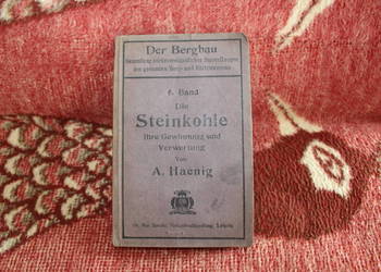 Die Steinkohle A. Haenig 1907 rok
