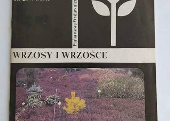 Ozdobne krzewinki WRZOSY i WRZOŚCE