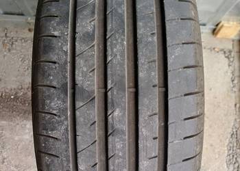 Opony letnie Dębica 225/40R18 92Y