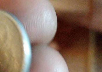 Sprzedam 20 gr 1972 r zzm