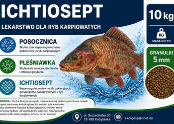 Ichtiosept lekarstwo pleśniawka posocznica