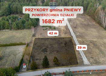 Działka budowlana - Przykory gmina Pniewy