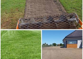 GLEBOGRYZARKA MARKUSZÓW