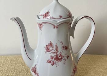 Zestaw Winterling róże