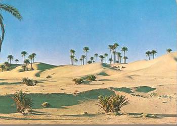 widokówka czysta z Libii.( Fezan) widokówka czysta z Libii.( Fezan)