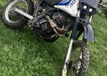 Suzuki DR600