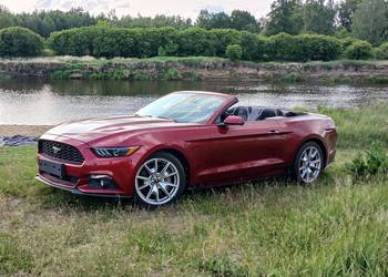 Ford Mustang GT cabrio 50 lecie 2015 rok