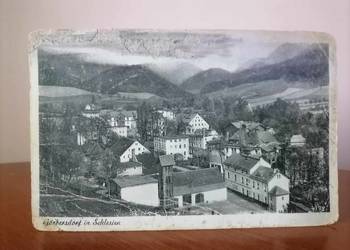 Gorbersdorf Sokołowsko Pocztówka Panorama 1920 rok