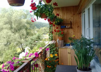 Sprzedam mieszkanie w Bieszczadach 63m2