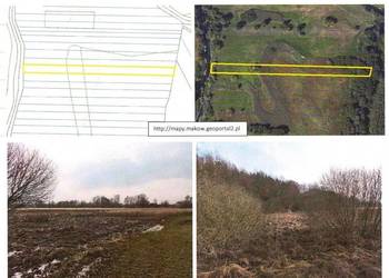 Syndyk sprzeda – nieruchomość gruntową – Obłudzin gm. Płoniawy Bramura