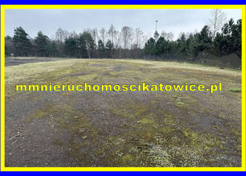 Działki utwardzone z mediami do 6.000 m2 do wynajęcia Jaworzno przy A4 i S1