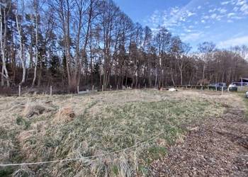 Sprzedam przepiękną działkę pod lasem