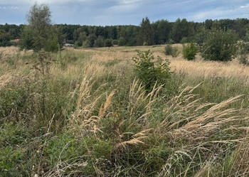 Piękna działka ,prawdopodobnie jedyna na Morgach pod rezydencję.