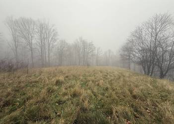 Na sprzedaż wyjątkowa działka 1,94 ha z domkiem letniskowym – Mikołajów 9,