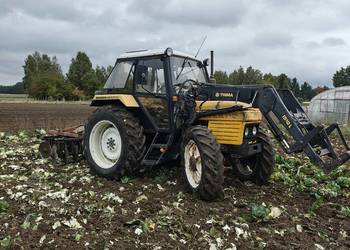 Leyland 704 z turem . Traktor Case 1490