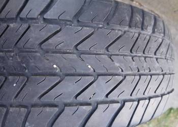 Opona Dębica Presto + 185/60R14